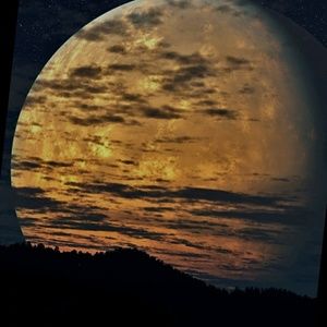 Meet your Posher, Scott